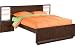 Teen Nick "The Flat" Full Panel Wall Bed