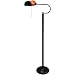 Grandrich G-1890 Pharmacy Mica Floor Lamp, Bronze