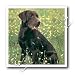 Dogs Labrador Retriever - Chocolate Labrador Retriever - Iron on Heat Transfers