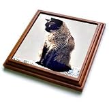 Cats - Siamese Cat - Trivets