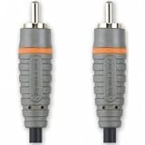 Bandridge - Câble Audio RCA coaxiale - RCA Mâle - RCA Mâle - 2 m