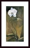 Something Yet To Come, Art Poster by Mark C. Merrill, with Wood Frame, poster size: 12