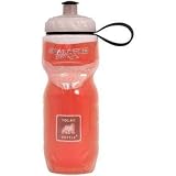 Polar Insulated Water Bottle (20-Ounce, Save The Planet Green)