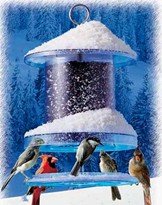 All Weather Feeder 6 Qt. Clear