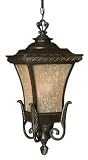 Hinkley Lighting Brynmar Hanging Outdoor Lantern - Dark Sky