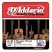 D'Addario EJ17 Phosphor Bronze Medium Acoustic Strings, Single