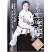 剛柔流空手道 伝統技法 一 [DVD]