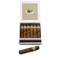 Royale Chocolate Cigars in Cigar Box