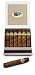 Royale Chocolate Cigars in Cigar Box