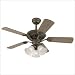 Westinghouse Lighting 72116 44 Maple Grove Ceiling Fan in Spanish Bronze