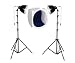 500 Watt Continuous Light with a Light Tent