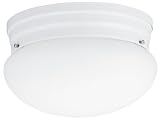 Flush Mounted Light Fixtures