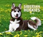 Siberian Huskies 2010 Deluxe Wall Calendar
