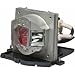 Optoma BL-FU220C - Projector lamp - UHP - 220 Watt
