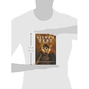 Sizwe's Test: A Young Man's Journey Through Africa's AIDS Epidemic