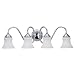 Sea Gull Lighting 40023-05 Darien Four-Light Vanity, Chrome Finish with Etched Opal Glass
