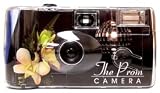Boutonniere Prom Camera - 12 Pack