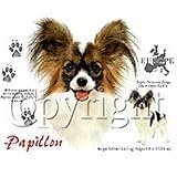 Papillon Adult T-Shirt