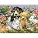 Loveable Pets 550 pc Jigsaw Puzzle by White Mountain Puzzles