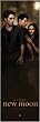 The Twilight Saga: New Moon - Mini Door Movie Poster (Love Triangle) (Size: 12" x 36")