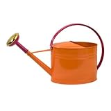 IMAGE OF IMAX Edison Brights Oval Watering Can