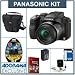 Panasonic Lumix DMC-FZ60 16 Megapixel Digital Camera, Leica DC Vario-Elmarit 24x Zoom Lens - Bundle - with 16GB Class 10 SDHC Card, Lowepro Rezo TLZ-10 Bag, Spare Battery, 6' HDMI Cable, Adorama Cleaning Kit for Optics, Red Giant Magic Bullet Photo-looks V1.5