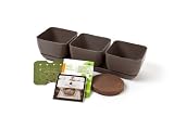 Simple Garden Junior SGJR-3PC-MOC Oregano, Basil and Cilantro Herb Garden Kit, Mocha