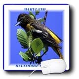 Florene State Birds - Maryland State Bird Baltimore Oriole - Mouse Pads