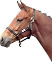 Halter Controller - Large (full) Black
