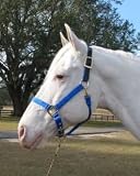 11-16 Adjustable Leather Head Poll Halter Brsn Blue