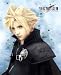 Final Fantasy VII Advent Children Cloth Wall Scroll Poster- YA017