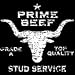 Prime
