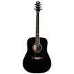 Peavey Electric Acoustic Guitar Full Pack with GT5 - Black (00568350)
