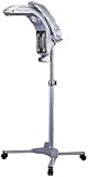 Create Swing Belle (Hair Thermal Processor)