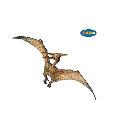 Pteranodon （プテラノドン）