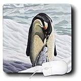 Steve Shachter Art - PENGUIN MOTHER - Mouse Pads