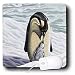 Steve Shachter Art - PENGUIN MOTHER - Mouse Pads Image
