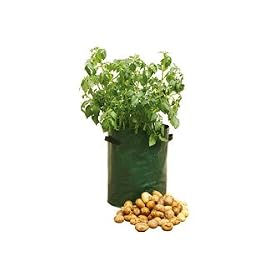 Haxnicks Potato Patio Planter - Pack of 3