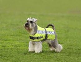 American Pet Diner 100DFHV012 Flectalon Dog Jacket Hi-Viz 12 in.