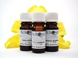Auroma Pinus Silvestrus (Pine) Essential Oil 0.33 oz oil