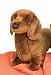 Plush Johann Red Dachshund 14