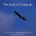 The Soul of Gratitude - A Sacred Lens Guided Imagery Journey