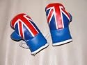 Mini Boxing Gloves (car) UK&nbsp;