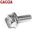 Gaggia Coffee Machine Filter Handle Replacement Screw