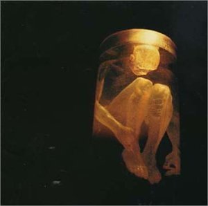 Alice In Chains - Best of the Box - Zortam Music