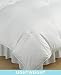 31KXC8aEY8L. SL75  Calvin Klein Khaki Collection Almost Down Comforter, Full/Queen