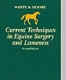 View Book 'Current Techniques in Equine Surgery and Lameness'