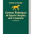 Current Techniques in Equine Surgery and Lameness by N. A. White and James N. Moore