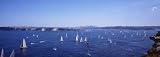 31KXDQE9N9L. SL160  yacht charter sydney Yacht Race, Sydney Harbor, Australia Photographic Print by Panoramic Images, 36 x 12