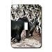 Mirmak Animals - sea lion family - Light Switch Covers - single toggle switch